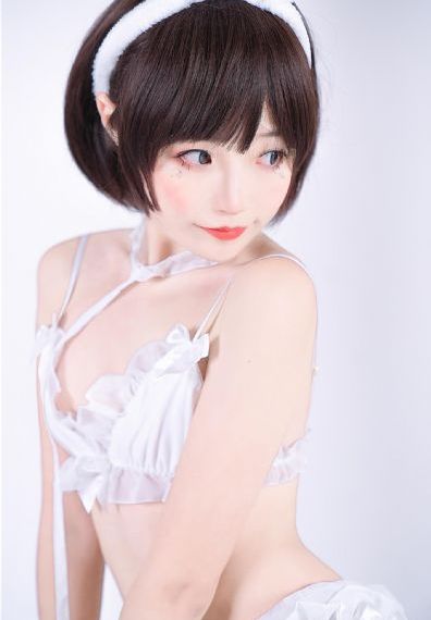 肥猫寻亲记第一部免费观看