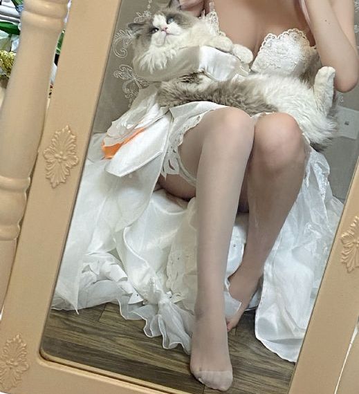 电影激情丛林
